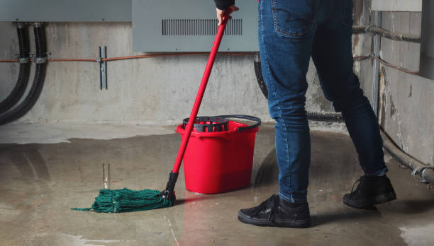 Best Water damage restoration mold remediation  in Towaco, NJ