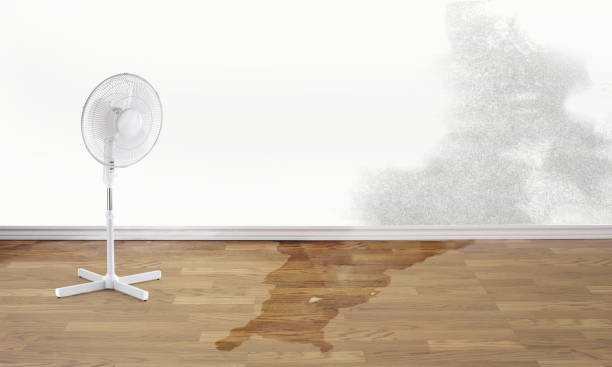 Best Carpet water damage restoration  in Towaco, NJ