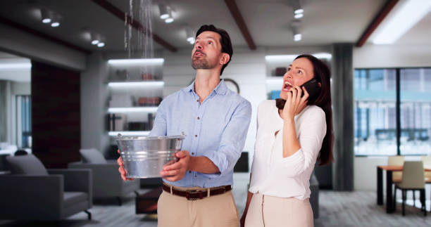 Best Ceiling water damage repair  in Towaco, NJ
